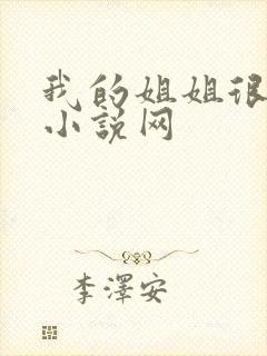 我的姐姐很弟控小说网
