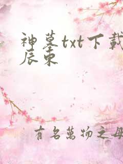 神墓txt下载辰东