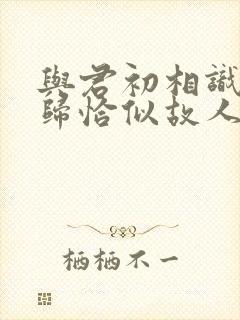 与君初相识故人归恰似故人归在线播放