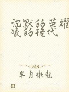 沉默的荣耀中聂曦的后代