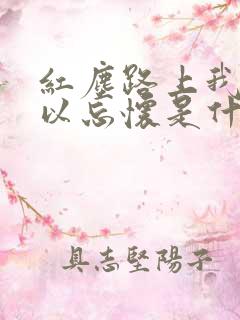 红尘路上我也难以忘怀是什么歌