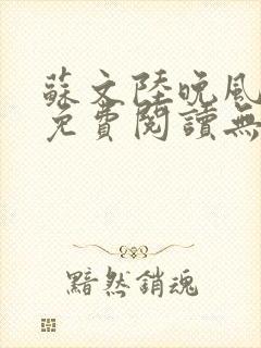 苏文陆晚风全文免费阅读无弹窗笔趣