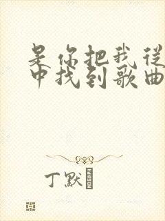 是你把我从人海中找到歌曲