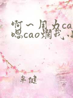 啊～用力cao嗯cao烂我小说