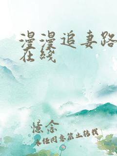 漫漫追妻路小说在线