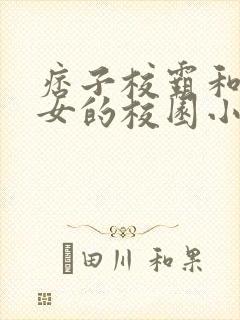 痞子校霸和乖乖女的校园小说