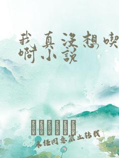 我真没想吃软饭啊小说