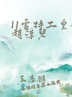 11处特工皇妃赵淳儿