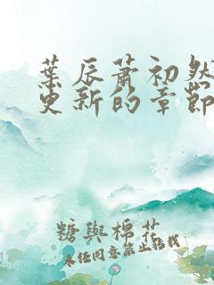 叶辰萧初然刚刚更新的章节