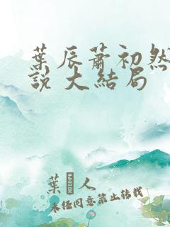 叶辰萧初然 小说 大结局
