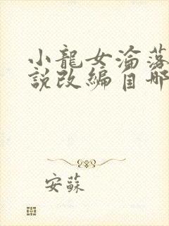 小龙女沦落记小说改编自哪部小说