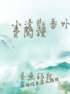 小清欢番外篇免费阅读