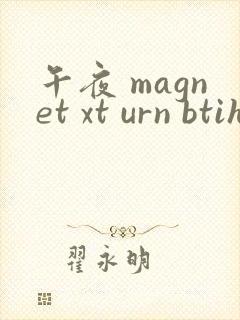 午夜 magnet xt urn btih