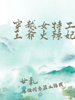 穿越女特工腹黑王爷火辣妃免费阅读小说