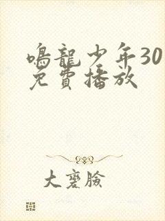 鸣龙少年30集免费播放