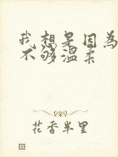 我想是因为,我不够温柔