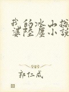 我的冰山总裁老婆陆尘小说