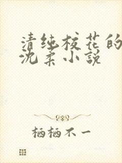 清纯校花的日常沈柔小说