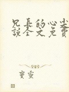 兄长的心尖宠小说全文免费阅读