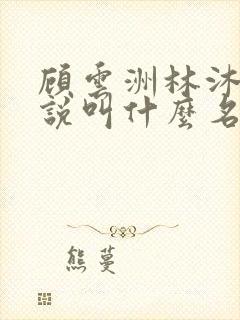 顾云洲林沐瑶小说叫什么名字