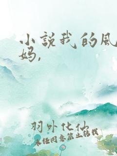 小说我的风流妈妈,