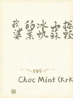 我的冰山总裁老婆叶帆苏轻雪