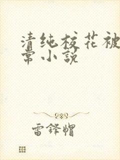 清纯校花被肉日常小说