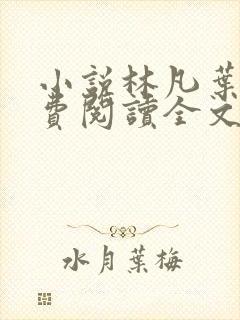 小说林凡叶惜免费阅读全文最新章节