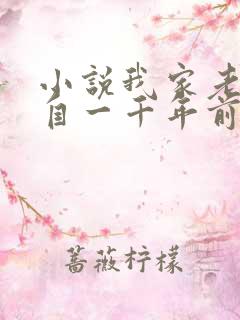 小说我家老婆来自一千年前全本阅读
