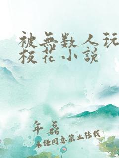 被无数人玩弄的校花小说