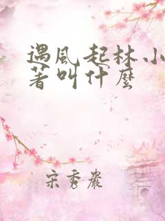 遇风起林小说原著叫什么