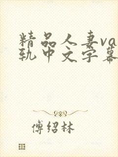 精品人妻va出轨中文字幕