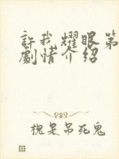 许我耀眼第9集剧情介绍