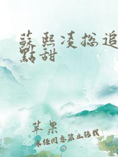 苏熙凌总追妻有点甜