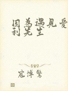 因为遇见爱情的利先生