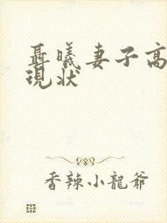 聂曦妻子高秀美现状