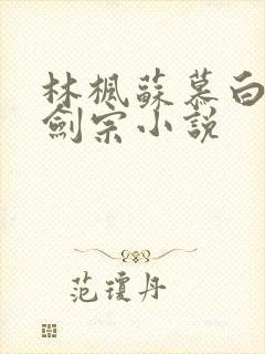 林枫苏慕白神霄剑宗小说