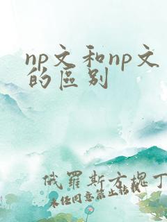 np文和np文的区别