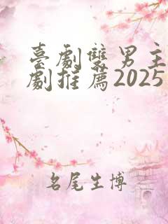 台剧双男主电视剧推荐2025