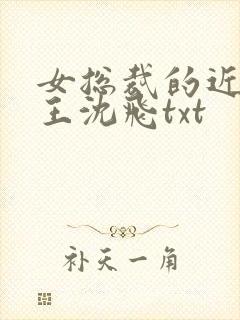 女总裁的近身兵王沈飞txt