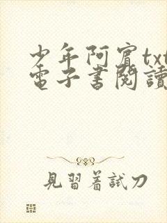 少年阿宾txt电子书阅读