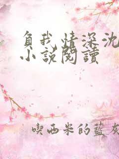 负我情深沈叙淮小说阅读