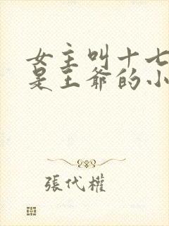女主叫十七男主是王爷的小说