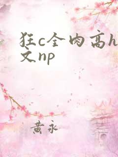 狂c全肉高h辣文np