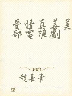 爱情真善美第三部电视剧