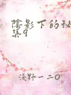 阴影下的秘密全集9