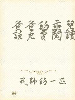 爸爸的乖儿子小说免费阅读全文