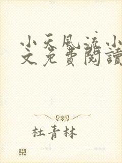 小天风流小说全文免费阅读无弹窗