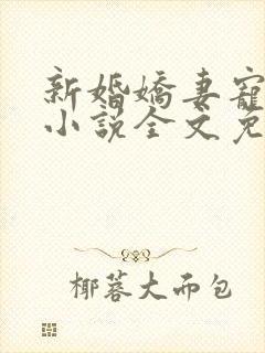 新婚娇妻宠上瘾小说全文免费阅读