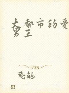 大都市的爱情法男主